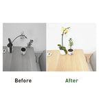 Plant Support Stakes