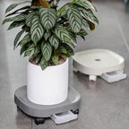 Flower Pot Base with Roller Wheels