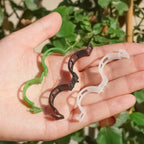 Plant Clips Supports EcoPlastic