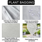Fruit & Grape Protection Bags – Nonwoven Mesh Anti-Bird & Insect Covers