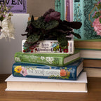 Stacked Books Planter - HomeyGarden