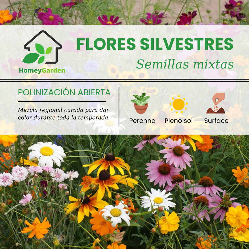 MEZCLA DE FLORES SILVESTRES - HomeyGarden