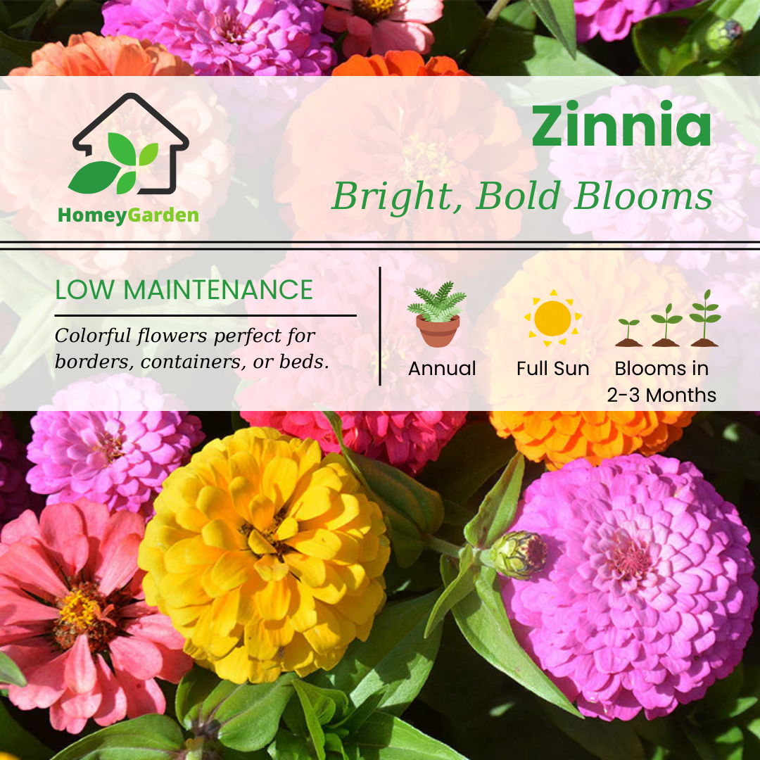 zinnia flower seeds online 1000 pcs Zinnia Seeds – Homey Garden
