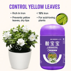 Ferrous Sulfate Fertilizer Acid-Loving Plants Anti-Yellow Leaves, Soil Acid Adjustment