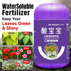 Ferrous Sulfate Fertilizer Acid-Loving Plants Anti-Yellow Leaves, Soil Acid Adjustment