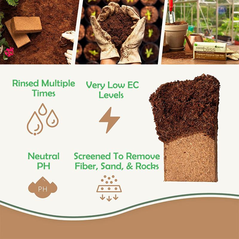 Ladrillos de Coco Coir Orgánico