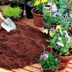 Ladrillos de Coco Coir Orgánico