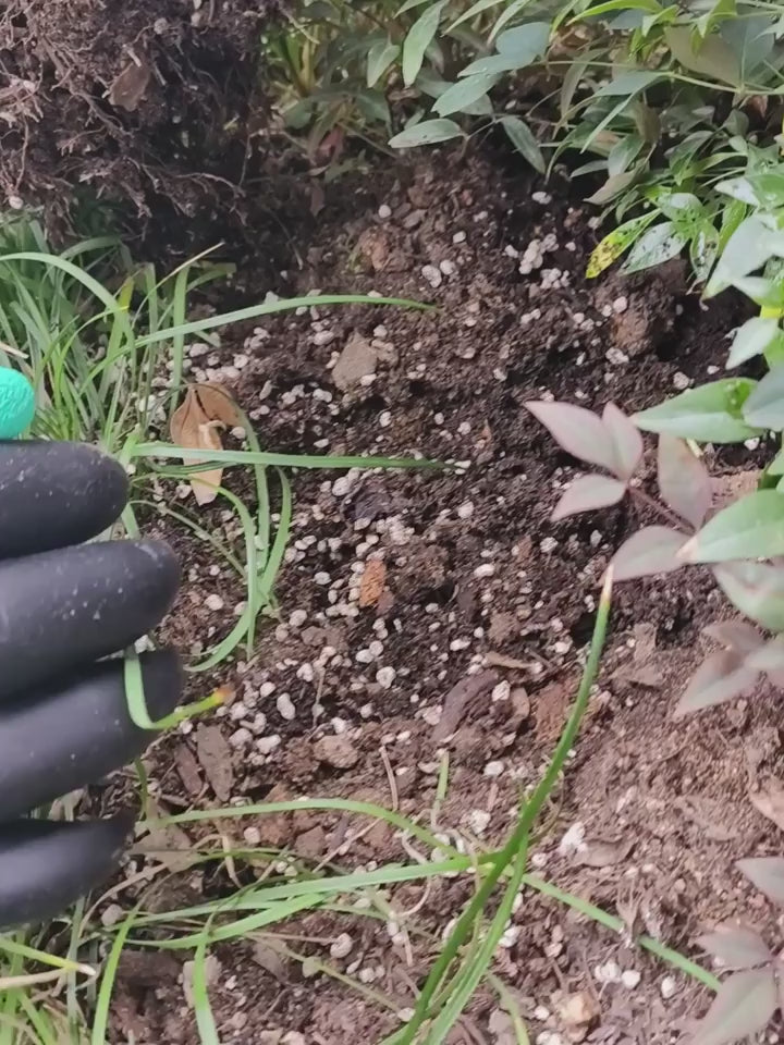 Garden Gloves with Fingertips Claws - HomeyGarden
